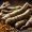 Ginseng vs Maca ¿Qué Raíz Te Da Más Energía Sostenida